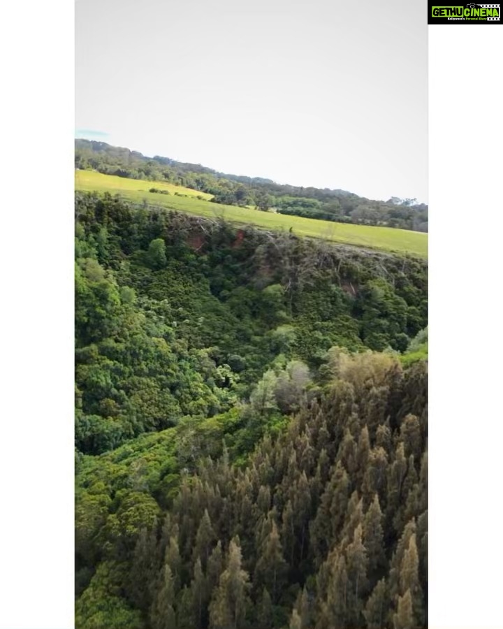 Sushma Raj Instagram - First ever zip line , a spectacular experience. Shot this 2800 ft above the ground! 😍 #piiholozipline #gopro Piiholo Ranch Zipline