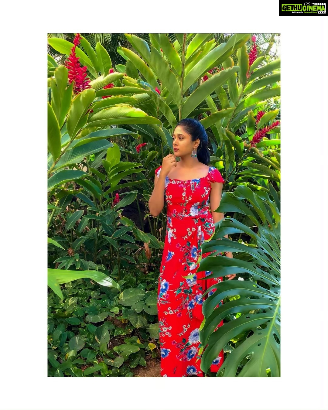 Sushma Raj Instagram - #hawaii 🌺#wilderness Island of Maui