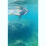 Sushma Raj Instagram - BLUE WORLD! #turtletown Hawaii