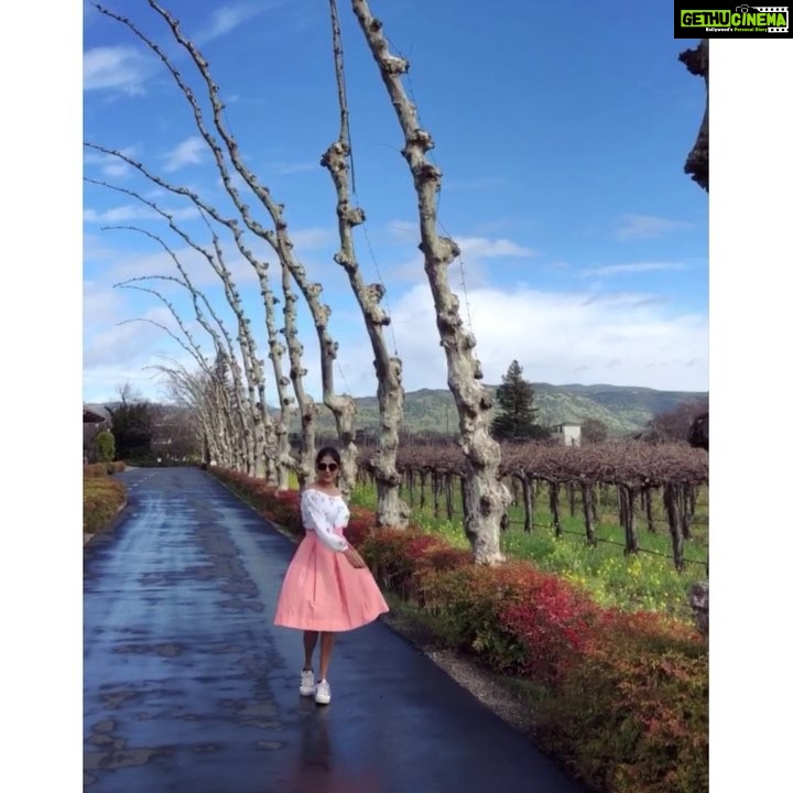 Sushma Raj Instagram - #rewind Q: If You were to go back in time, where would you go?