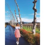 Sushma Raj Instagram – S Y C A M O R E S  #napa Napa Valley Wine Country