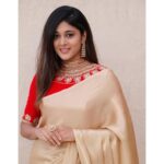 Sushma Raj Instagram - #sareelove ✨ #tb