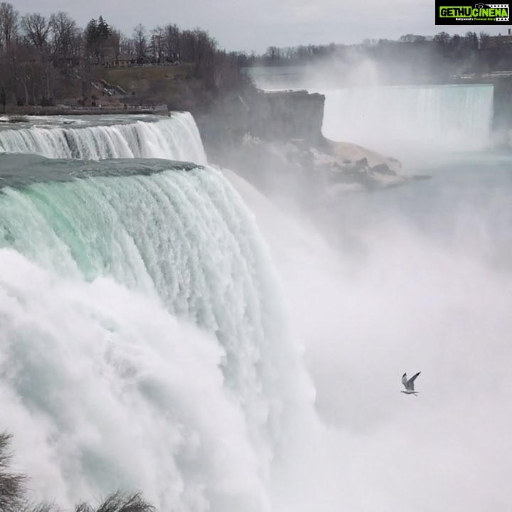 Sushma Raj Instagram - Niagara Falls State Park, USA