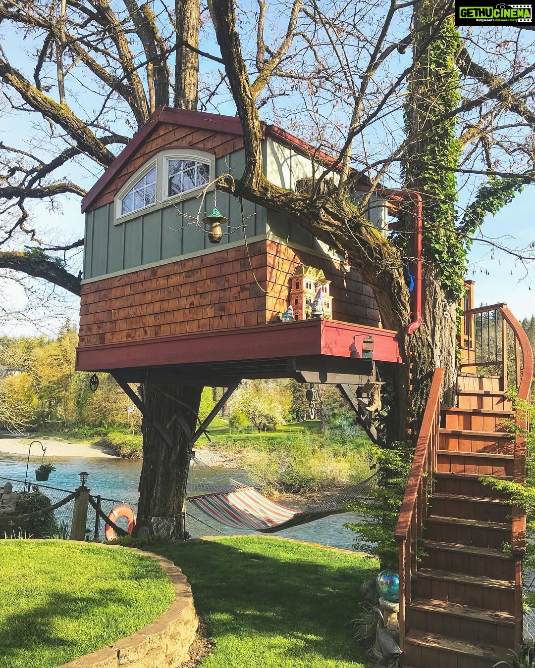 Sushma Raj Instagram - Astonishing experience. Stayed in this amazing river side #treehouse last night, which had a great view and wifi. See more https://www.seattletimes.com/life/travel/glampsite-of-the-week-washougal-riverside-treehouse/ Washougal, Washington