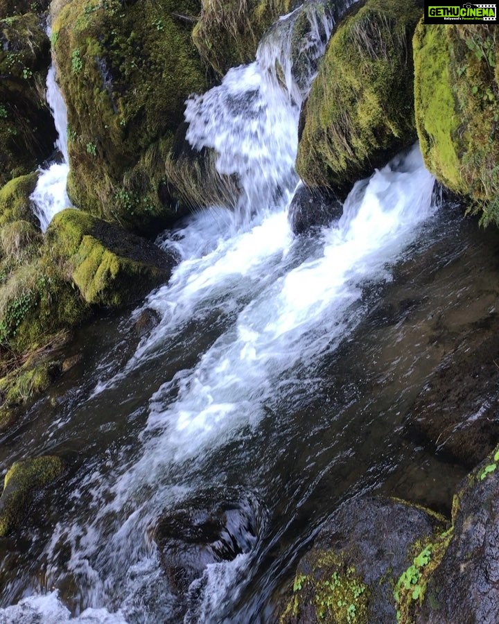Sushma Raj Instagram - Happy earth day! ❤️ Watson Falls
