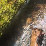 Sushma Raj Instagram –  Susan Creek Falls