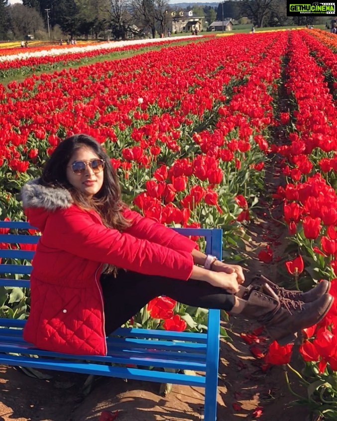 Sushma Raj Instagram - Wooden Shoe Tulip Farm
