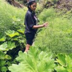 Sushma Raj Instagram - All good things are wild and free! #ferncanyon 💚 Fern Canyon