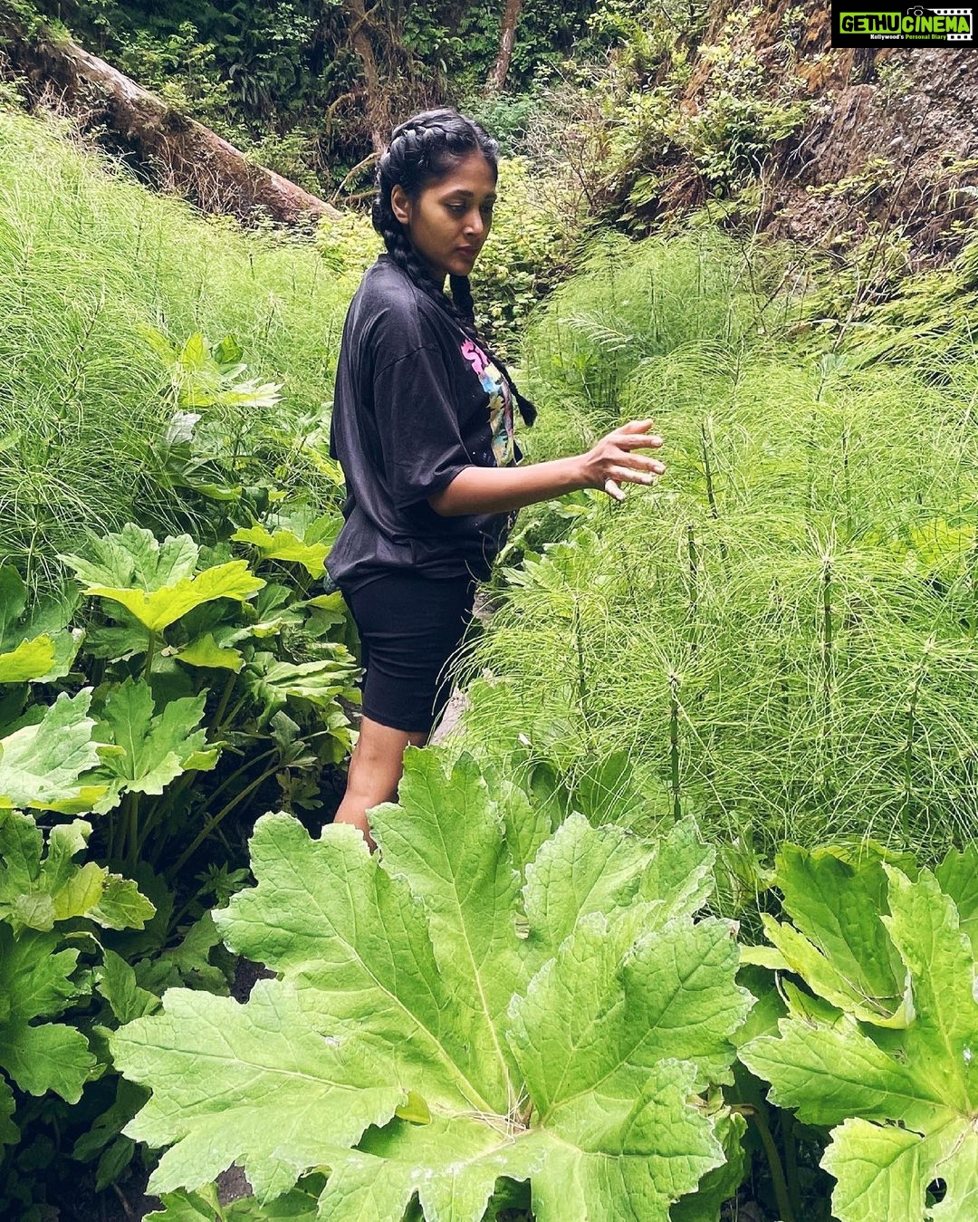 Sushma Raj Instagram - All good things are wild and free! #ferncanyon 💚 Fern Canyon