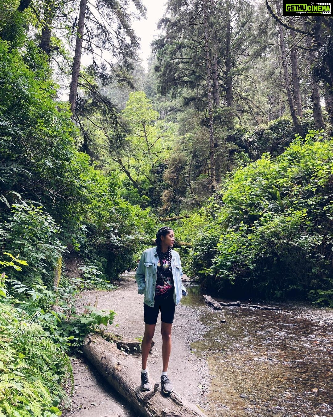 Sushma Raj Instagram - All good things are wild and free! #ferncanyon 💚 Fern Canyon