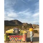 Sushma Raj Instagram - Freeze!!!