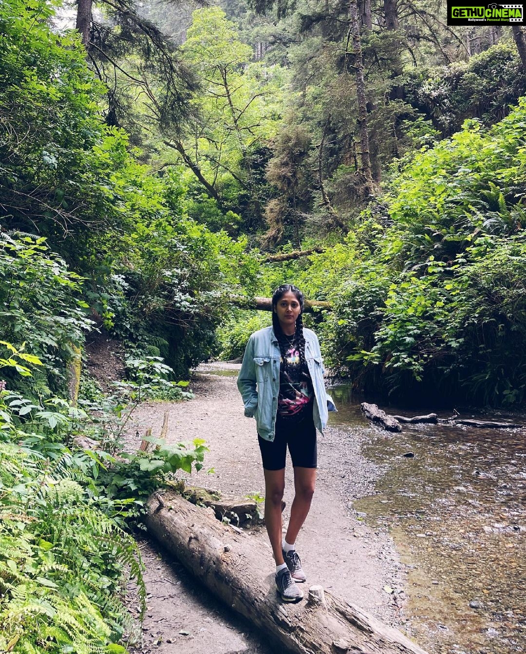 Sushma Raj Instagram - All good things are wild and free! #ferncanyon 💚 Fern Canyon