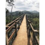 Sushma Raj Instagram –  Mathur Aqueduct, kanyakumari.