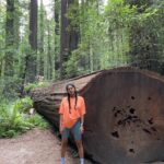 Sushma Raj Instagram – 🧡 Avenue of the Giants