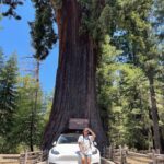 Sushma Raj Instagram - Always say yes to a road trip! Redwood National and State Parks (NPS)