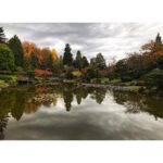 Sushma Raj Instagram - #fallcolours #heavenly Seattle Japanese Garden
