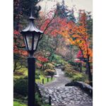 Sushma Raj Instagram - wish i can live here #Forever 🍁🍃🍂 Seattle Japanese Garden