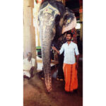 Sushma Raj Instagram - #maduraimeenakshitemple