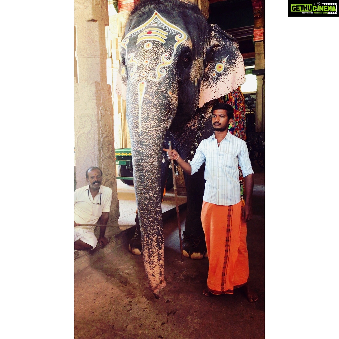 Sushma Raj Instagram - #maduraimeenakshitemple