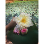 Sushma Raj Instagram - #villagestories