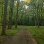 Tanushree Dutta Instagram - Nature walks in the woods nearby 👧