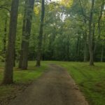 Tanushree Dutta Instagram – Nature walks in the woods nearby 👧