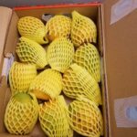 Tanushree Dutta Instagram – Alphonsos from India!! Mango mania in New Jersey..finally getting a good doze of my fav fruit halleluiah!!