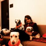 Udita Goswami Instagram – For the uninitiated, Tihar(Diwali) Festival is a five-day Hindu festival celebrated in Nepal. The second day of this annual fall celebration is called Kukur Tihar, and is dedicated solely to the celebration and pampering of canines for their cherished relationship with humans. There are also several mythological stories behind it. I follow it every year. This is a throwback pic when my 4th dog Mojo was alive. This is the first year without him and the story wouldn’t be complete without him. #kukurpuja #tihar #diwali #doglove