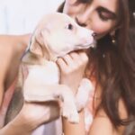 Vaani Kapoor Instagram - Their innocent little hearts give you unconditional love to last a lifetime and they are always there for you. 🐶🐱❤️ As a pet lover and a passionate advocate for animals, there is nothing that compares to the feeling of having saved a life and giving them a second chance at having a good future. All you need to do is it bring them home, give them a safe space that they can call their own and see your hearts full! Come along with me on my day at Kanchan's Global Foundation (@KanchansGlobalFoundation) Thank you @Droolsindia for making their tummies happy and content! The video is a testament to how much they loved the food! #ValentinesDay #DroolsIndia #FeedRealFeedClean #PetNutrition #FurryFriends