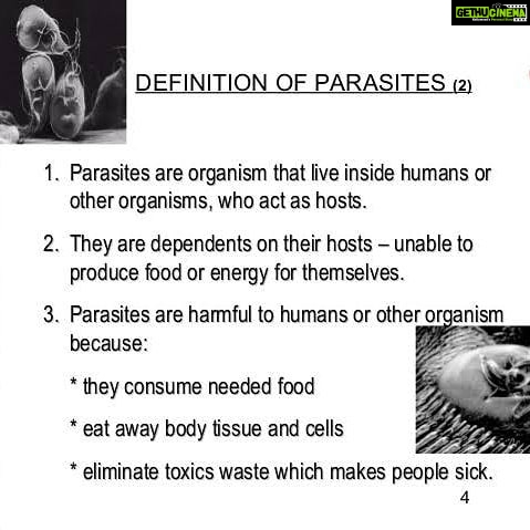 Vanitha Vijayakumar Instagram - How I see people who dwell on others livelihoods...and have no survival or recognition of their own.but misuse others by eating off their remains
