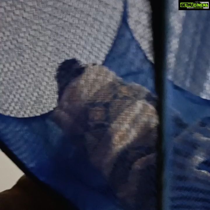 Vanitha Vijayakumar Instagram - @blue_cross_rescues @tamilnadu__forest Taken the shikra and handed over to tn forest department In safe custody..they will handover to @blue_cross_rescues @mkstalin for first aid... feeling so happy we friends could save a life...poor one was bleeding and in tears... helpless not able to express its pain... Velachery Chennai