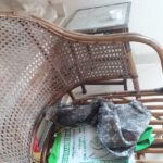 Vanitha Vijayakumar Instagram – This poor little eagle is sick and hurt and can’t fly…needs medical help..@blue_cross_rescues wasn’t able to help for some technical reason…can someone give guidance on how to try to rescue the bird…it’s in my friends custody and needs help…his contact number… Nandu 
+91 99520 25009
@vandalurzoo @blue_cross_rescues @veterinary_emergency_group