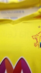 Varalaxmi Sarathkumar Instagram - My first ever reel for my #chennaisuperkings #csk #whistlepodu🦁💛 thank you @chennaiipl for my awesommmmm jersey... #louis