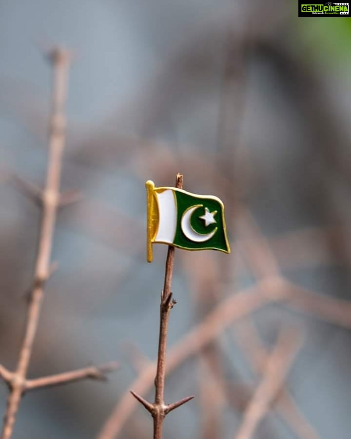 Veena Malik Instagram - Subset pheley Pakistan! #VeenaMalik Karachi, Pakistan