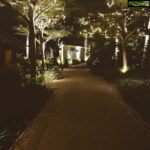 Veena Malik Instagram – #walkies🐾 #walkaway #🌼🌼🌼🌼🌼🌼🌼🌼🌼🌼🌼🌼 #beautiful_world #thisisbeautiful #lovemylife💕 #stars #sobeutiful😍 #green #starynight #instatravel #throwback #thisisfunland #💓💓💓 #🌺🌺🌺🌺🌺🌺🌺🌺🌺🌺🌺🌺🌺💚💛💛💛🎵🎵🎵🎵🎵🎵🎵🎵🎵🎵🎵🎵🎵🎵 #walkways #beautifully #lovelyplace #funtimes❤️ #lovingit😍 #👌👌👌 #💥