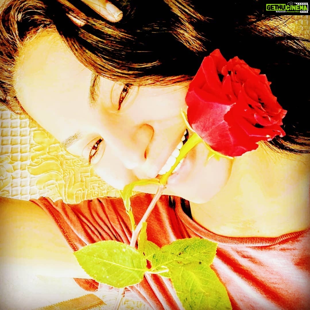 Veena Malik Instagram - #ππππππππππΈπΈπΈπΈπΈπΈπΈπΈπΌπΌπΌπΌπΌπΌπΌπΌπ·π·π·π·π·π·π·π·πΉπΉπΉπΉπΉπΉπΉπ»π»π»π»π»πΊπΊπΊπΊπΊ