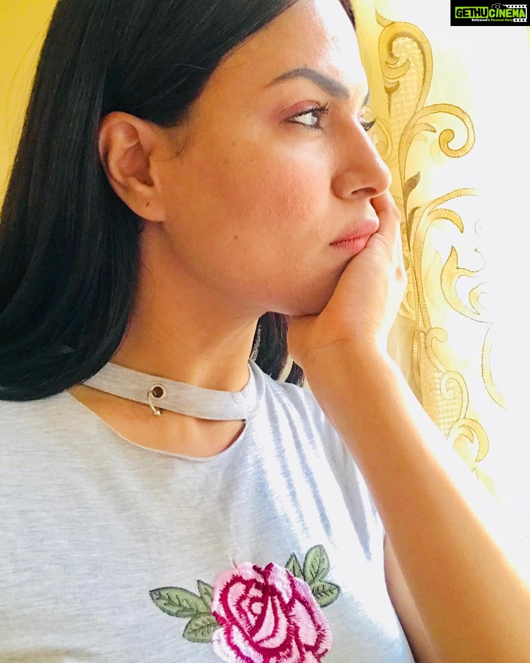 Veena Malik Instagram - #Rock&Roses #MyTshirtSays❤️🔥🖤