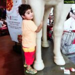 Veena Malik Instagram - This is my horse... #mashaallah #cutiepie #myson #AbramKhan @iabramkhan 😘😘😘😍✨😇🇦🇪🇵🇰 Dubai, United Arab Emirates