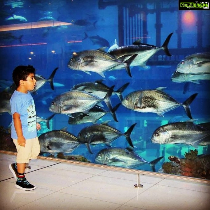 Veena Malik Instagram - Picturasqu.... #sodelightful #AbraminDubai #lovelyposes #SuchaACuteBabyBoy