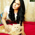 Veena Malik Instagram - #hellosundaymorning #VeenaMalik 📷❤🔥 @tahseenkhanoffical @mateenshahphotography #📷💖😍