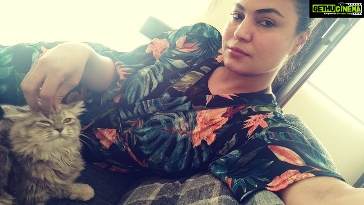 Veena Malik Instagram - #adorable #VeenaMalik
