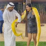 Yaashika Aanand Instagram - Life full of 🐍 snakes 😝🤷‍♀️ . - Pleasure meeting @sb_belhasa ❤️ . Thankyou for inviting me to @fame.park !! Wonderful time with 🐻🦁🦒🐍 !! . . . . . . . . . . #throwback #dubai #reels #explore #trending #snake #travel #yashika