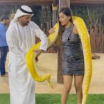 Yaashika Aanand Instagram – Life full of 🐍 snakes 😝🤷‍♀️ . 
–
Pleasure meeting @sb_belhasa ❤️ . Thankyou for inviting me to @fame.park !! Wonderful time with 
🐻🦁🦒🐍 !! 
.
.
.
.
.
.

.
.

.

.

#throwback #dubai #reels #explore #trending #snake #travel #yashika