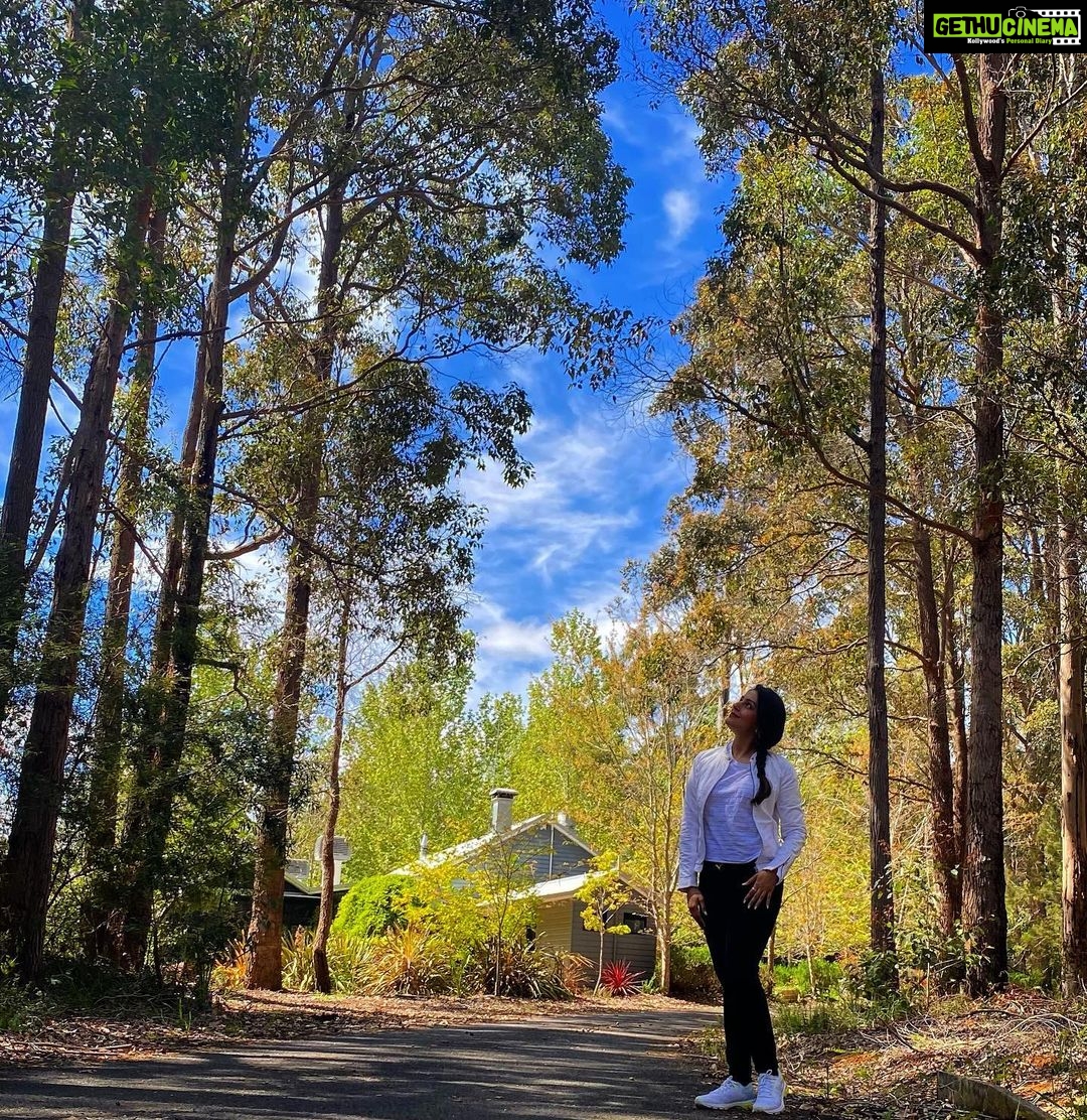 Aarti Chhabria Instagram - “If you’re tired, learn to rest, learn to reset, not to quit.” ~ ACB . . . What do you think SUNDAYS are for ?! . . . Happy International Happiness Day #happiness #aartichabria #aartichabriaquotes #nature #reset #overcomefatigue #talltrees #eucalyptustrees #lovenature #treehugger #treelovers #greenery #bluesky #sunday #sundayfunday #sundayvibes #sundaywalk #walkinthewoods #internationalhappinessday Pemberton, Western Australia