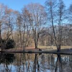 Aditi Chengappa Instagram - Blissful silences await those who befriend Nature 🌿🌿 . . . #naturelovers #nature #healing #peace #serenity #divine #prayer #reels #naturereels #berlin #tiergarten Berlin, Germany