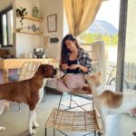 Aindrita Ray Instagram - Yes we just love @theinsideprojectindia for our new home… let’s just stay in!!!! #theinsideprojectindia #canefurniture #furnituredesign #interiordesign #ad