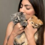 Akanksha Puri Instagram – Morning full of Cuteness ❤️
.
.
#monday #morning #morningvibes #instagram #instagood #instamood #goodvibes #cute #cuteness #love #pet #cat #catsofinstagram #photooftheday #picoftheday #beautiful #smile #joy #girl #me #beingme #akankshapuri #❤️