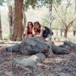 Amala Paul Instagram - Imagine *komodo* dragons. 😅 📸: Throwback to my trip to Komodo Island, Indonesia -- 2019. #vacay #vacaydiaries #vacation #komododragons #indonesia #throwback #precovid