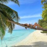 Amyra Dastur Instagram – Sundazeee ☀️🏝🌊 LUX* South Ari Atoll