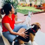 Anasuya Bharadwaj Instagram - Just a picture of Me and my pawsome babies looking into nothingness 🐾 #LilStudMuffin #MuffinBharadwaj @simbakhasba #pupstagram ❤️